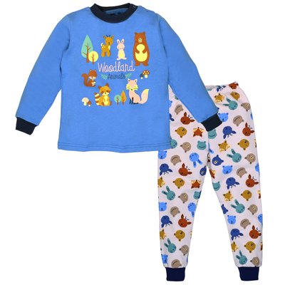 Піжама дитяча для хлопчиків, 100% бавовна, колір - Голубий 0102302міс-110 фото