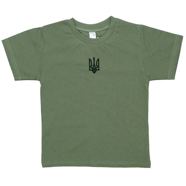 Дитяча футболка, 100% бавовна, зелена 0601343пхч-116 фото