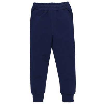 Дитячі штани, Хлопчикам, 95% бавовна 5% еластан - Футер петельний, колір - Синій 1820126тсн-98 фото