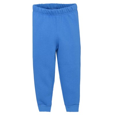 Дитячі штани, Хлопчикам, 100% бавовна - Футер 3х-нитка, колір - Голубий 1822102инд-98 фото