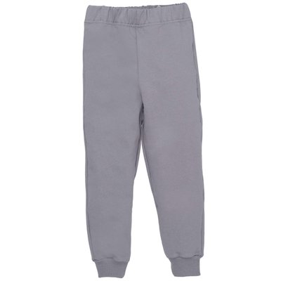 Дитячі штани, Хлопчикам, 95% бавовна 5% еластан - Футер петельний, колір - Сірий 1820122асф-92 фото