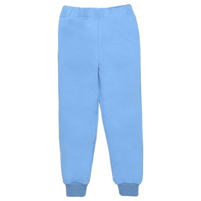 Дитячі штани, Хлопчикам, 100% бавовна - Футер петельний, колір - Голубий 1820122бл-104 фото