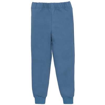Дитячі штани, Хлопчикам, 95% бавовна 5% еластан - Футер петельний, колір - Синій 1820122бтл-122 фото