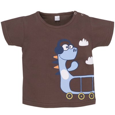 Дитяча футболка, 100% бавовна, коричнева 0601301гір-110 фото