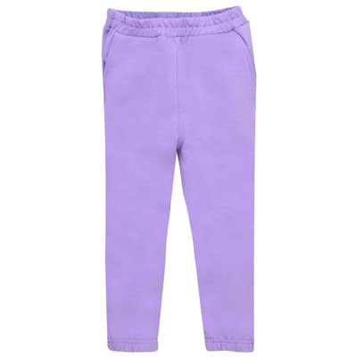 Дитячі штани, Дівчаткам, 95% бавовна 5% еластан - Футер петельний, колір - Фіолетовий 1820126срн-86 фото